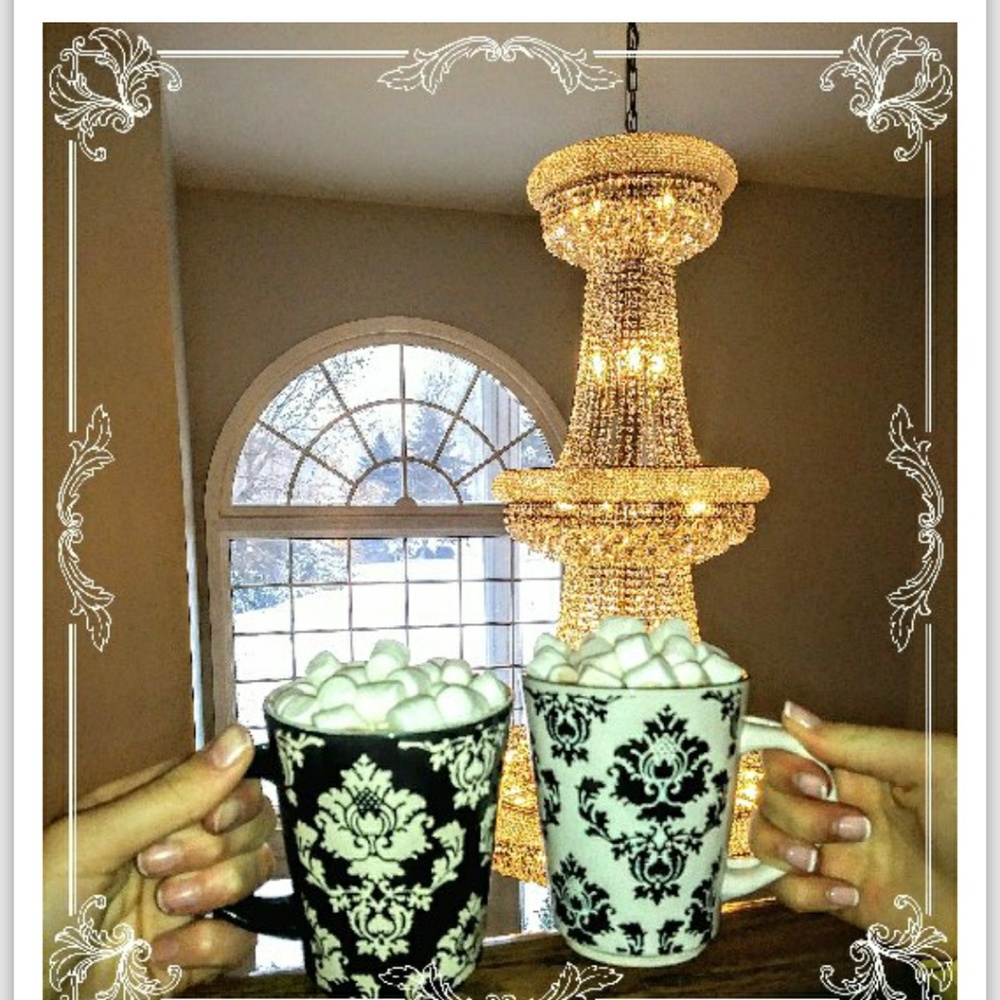 Meet your Posher, Holly